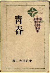 青春